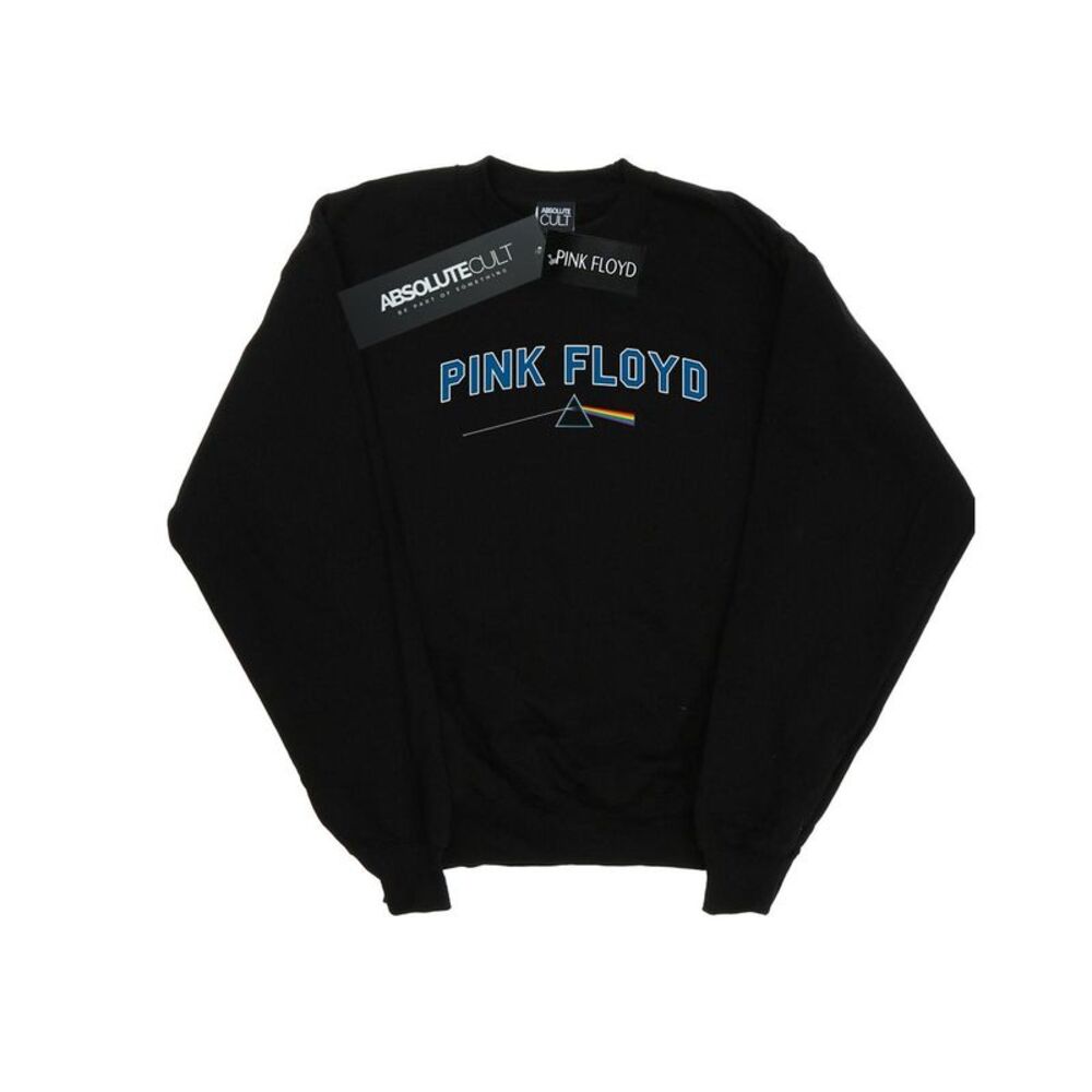 Pink Floyd Mens College Prism Sweatshirt / Black